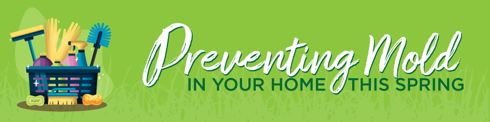 preventing-mold-in-your-home-this-spring