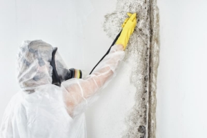 Professional mold testing, removal, and remediation in a Portland home
