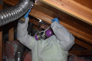 Asbestos removal and remediation in Portland, OR
