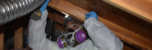 Environmental technician removing asbestos from a Portland home