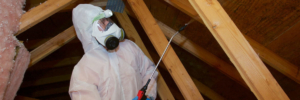 Mold inspection, removal, and remediation in Portland, OR
