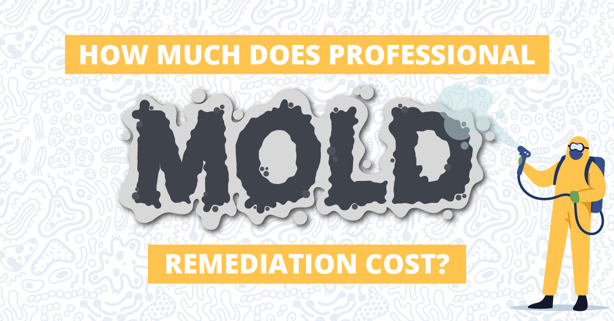 How Much Does Mold Remediation Cost? | Alpha Environmental