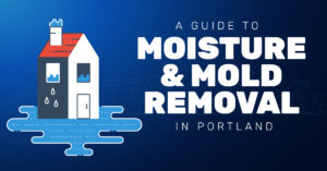 a guide to moisture and mold removal in portland