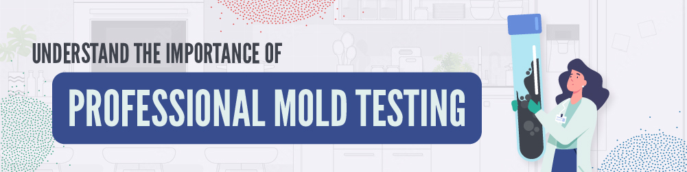 understanding the importance of professional mold testing