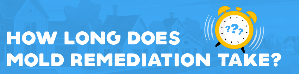 how long does mold remediation take?