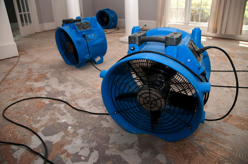 Mold remediation fans