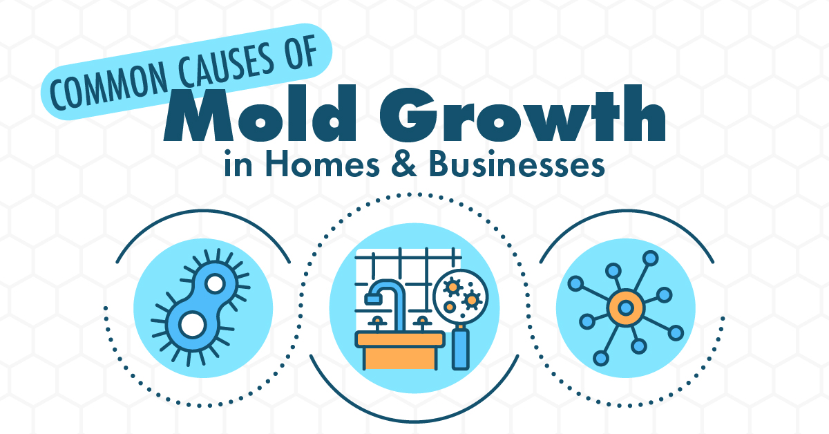 Common Causes Of Mold Growth In Homes And Businesses