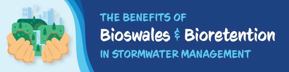 The Benefits of Bioswales and Bioretention in Stormwater Management