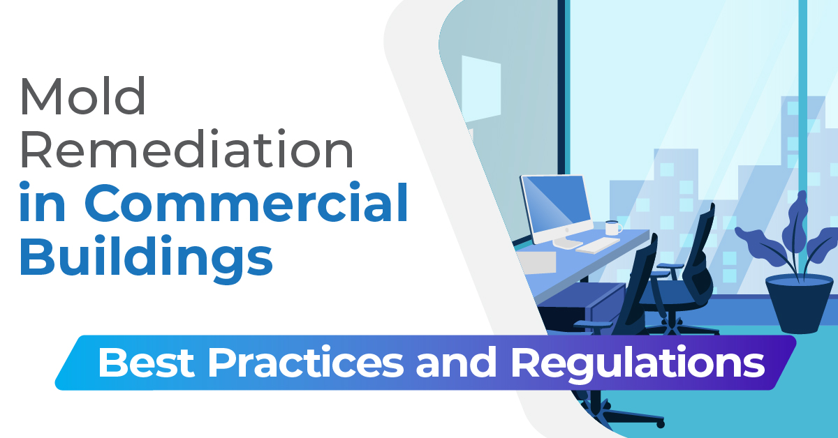 Commercial Mold Testing And Remediation