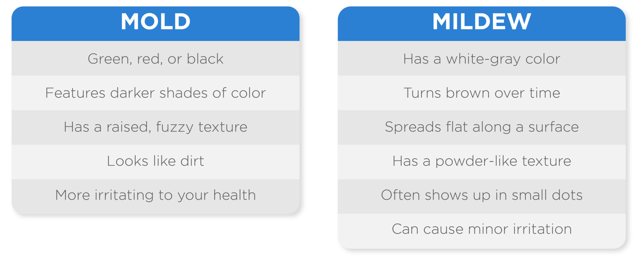 Mold Vs Mildew: What's The Difference?