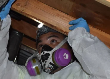 asbestos abatement process