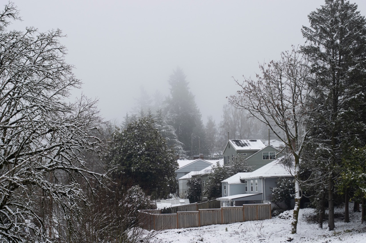 Winter in Portland, OR